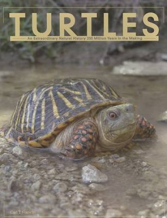 Turtles by Carl J. Franklin