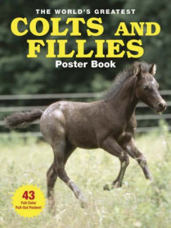 The World's Greatest Colts and Fillies Poster Book by Brenda C. Canales & Brenda C. Canales