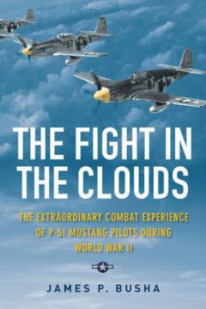 The Fight in the Clouds by James P. Busha