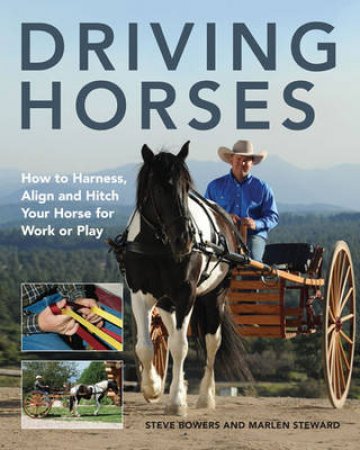 Driving Horses by Steve Bowers & Marlen Steward