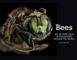 Bees