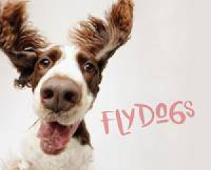 Flydogs by Todd R Berger