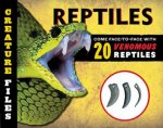 Reptiles Come FaceToFace With 20 Dangerous Reptiles