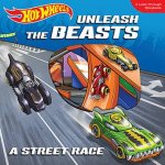 Hot Wheels Unleash The Beasts A Street Race