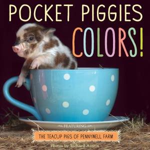 Pocket Piggies Colours! by Richard Austin