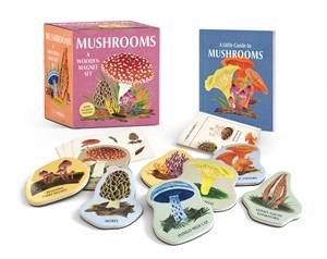 Mushrooms: A Wooden Magnet Set by Meg Madden