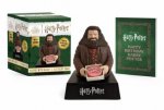 Harry Potter Hagrid with Harry s Birthday Cake  You re a Wizard Harry 