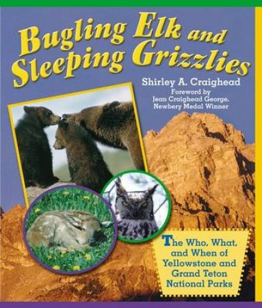 Bugling Elk and Sleeping Grizzlies by Shirley A. Craighead