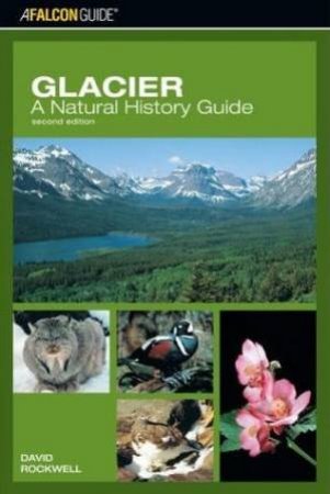 Glacier: A Natural History Guide - 2 Ed by David Rockwell