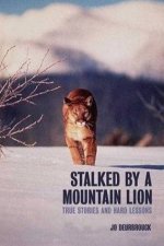 Stalked By A Mountain Lion True Stories And Hard Lessons