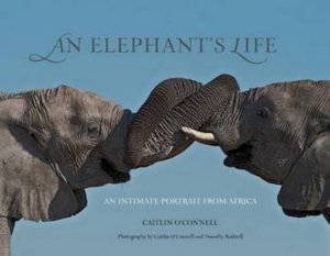 Elephant's Life by Caitlin O'Connell