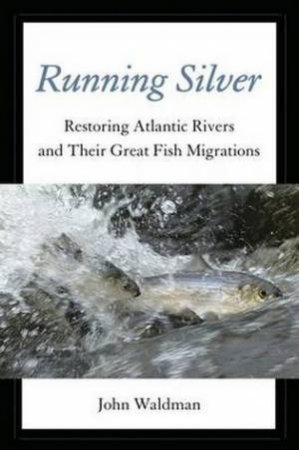 Running Silver by Professor John (Queens College) Waldman