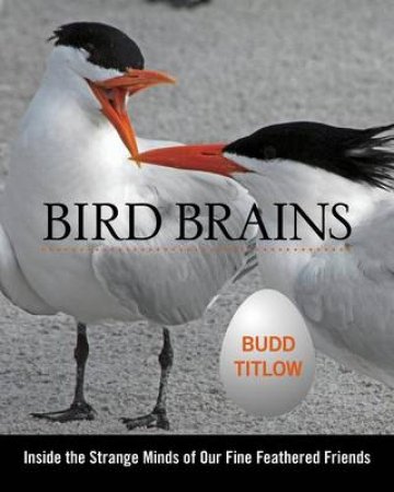 Bird Brains by Budd Titlow