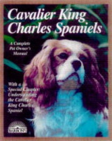 Cavilier King Charles Spaniels by Cpom - Dogs