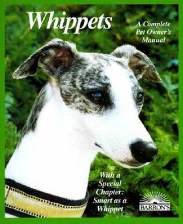 Whippets by Cpom - Dogs