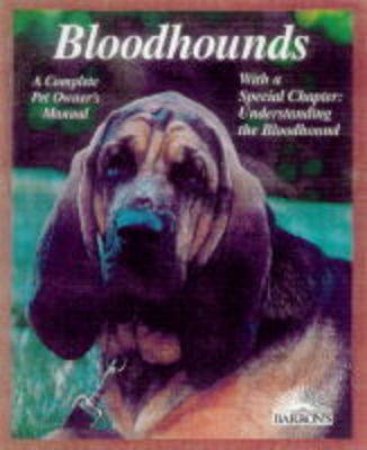 Bloodhounds by Cpom - Dogs