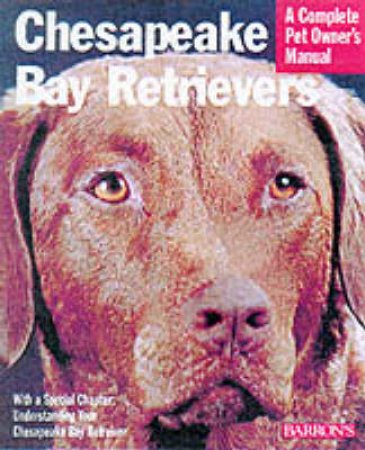 Chesapeake Bay Retrievers by Rice, Dan And Hakanson, Tana