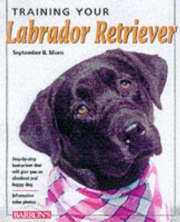 Training Your Labrador Retriev by Morn