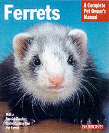 Ferrets : Pb by Morton Lynn