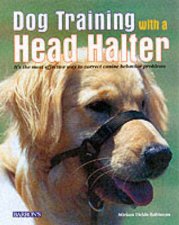 Dog Training With Head Halter