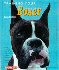 Training Your Boxer