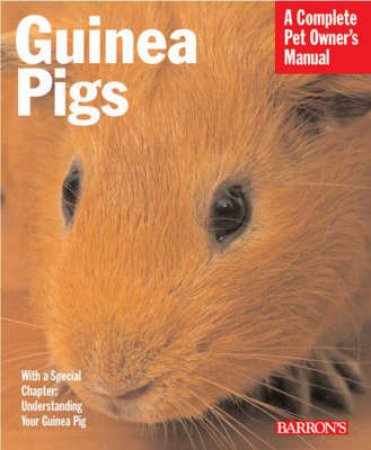 Guinea Pigs by Immanuel Birmelin