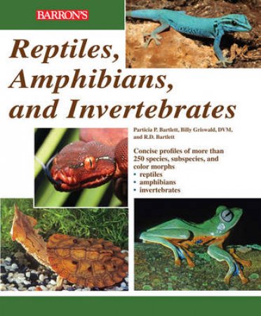 Reptiles, Amphibians and Invertebrates by Unknown