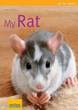 My Pet Series: My Rat by Unknown