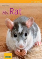 My Pet Series My Rat