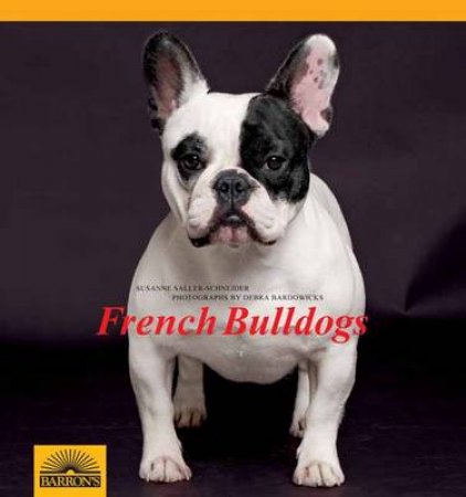 French Bulldog by Susanne Saller-Schneider