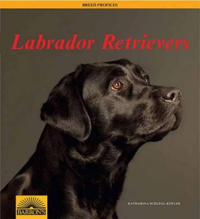 Labrador Retrievers by Katharina Schlegl-Kofler