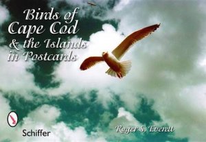 Birds of Cape Cod and the Islands in Ptcards by EVERETT ROGER S.