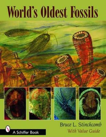 World's Oldest Fsils by STINCHCOMB BRUCE L.