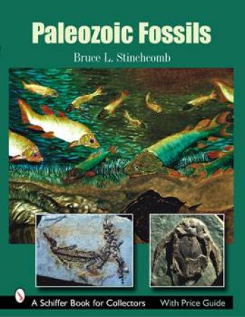 Paleozoic Fsils  Firm by STINCHCOMB BRUCE