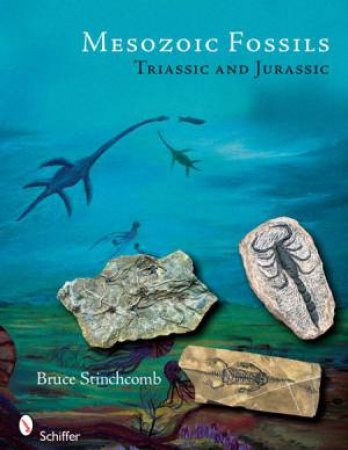 Mesozoic Fsils: Triassic and Jurassic by STINCHCOMB BRUCE L.