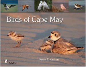 Birds of Cape May, New Jersey by KARLSON KEVIN T.