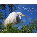 New Jersey Birds and Beyond