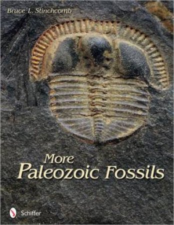 More Paleozoic Fsils by STINCHCOMB BRUCE L.