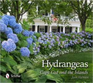 Hydrangeas by Joan Harrison