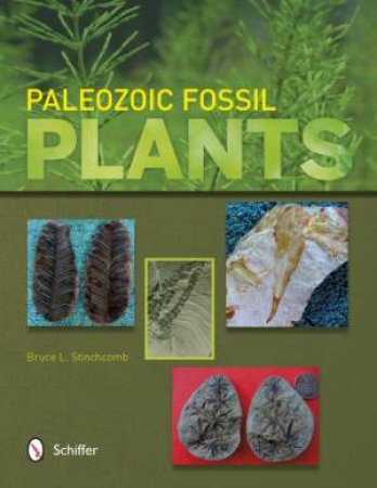 Paleozoic Fsil Plants by STINCHCOMB BRUCE L.