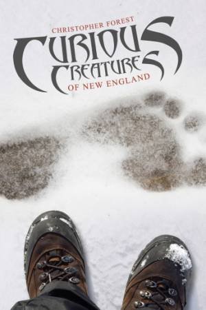 Curious Creatures of New England\