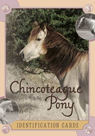 Chincoteague Pony Identification Cards: Set 2 by SZYMANSKI  LOIS