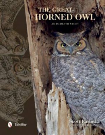 Great Horned Owl: An In-depth Study by RASHID SCOTT