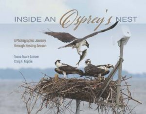 Inside an Osprey's Nest: A Photographic Journey through Nesting Season by TEENA RUARK GORROW