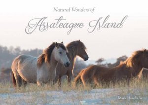 Natural Wonders Of Assateague Island by Mark Hendricks