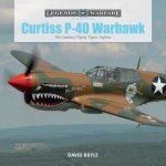Curtiss P40 Warhawk The Famous Flying Tigers Fighter