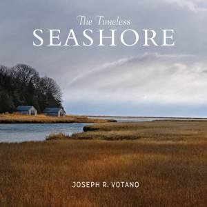 The Timeless Seashore by Joe Votano