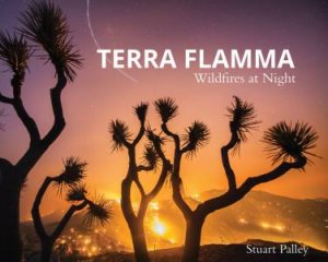 Terra Flamma: Wildfires At Night by Stuart Palley