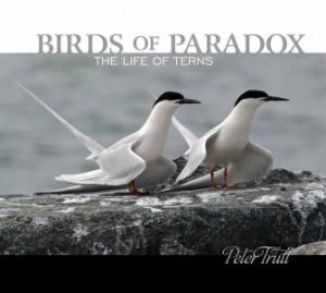 Birds Of Paradox: The Life Of Terns by Peter Trull