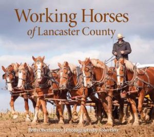 Working Horses Of Lancaster County by Beth Oberholtzer 